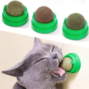 Wall-Mounted Catnip Ball Toy for Cats