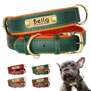 Must Have Accessory for Dog owners - Custom Engraved Leather Dog Collar