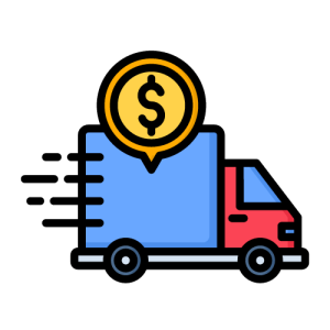 Custom Shipping Cost - $20